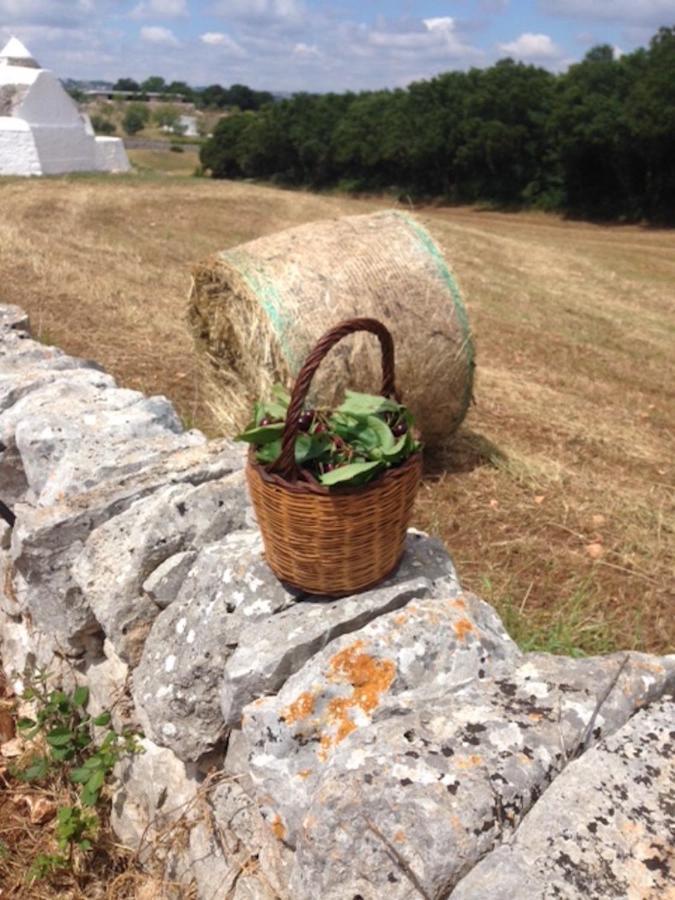 Borgo Trulli 1789 Bed & Breakfast Ostuni Exterior photo