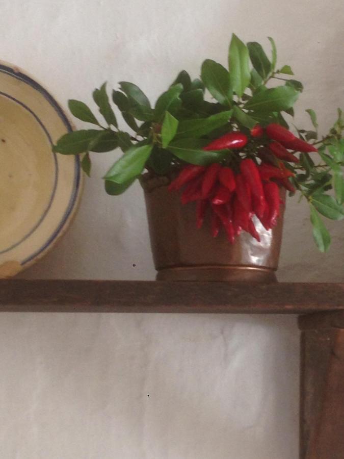 Borgo Trulli 1789 Bed & Breakfast Ostuni Exterior photo