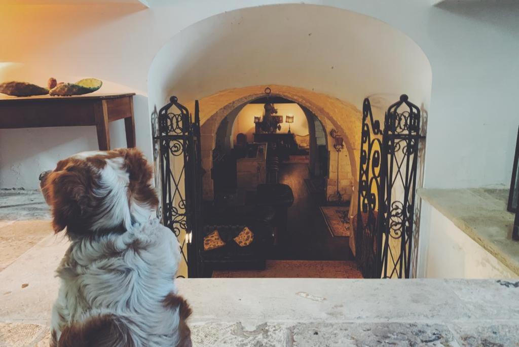 Borgo Trulli 1789 Bed & Breakfast Ostuni Exterior photo